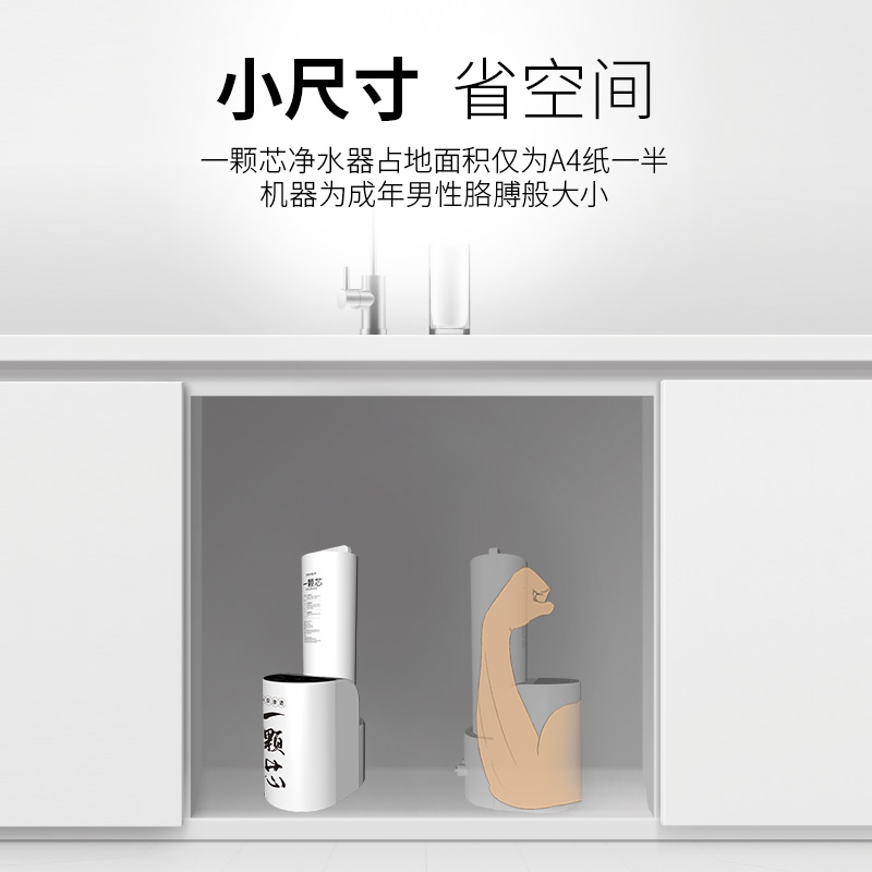 家乐事一颗芯净水器F1011