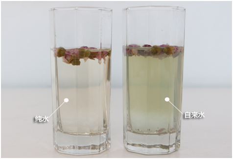 威尼斯注册送28