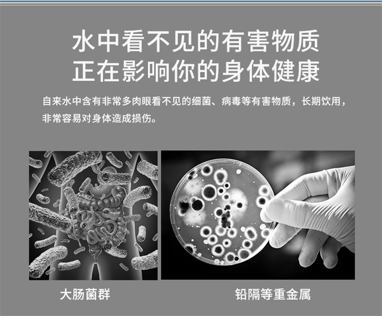 家乐事1000G大流量富锶净水机J1012产品介绍