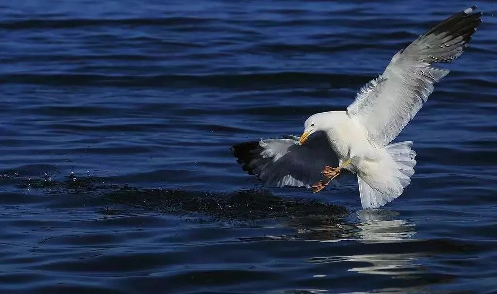 威尼斯注册送28