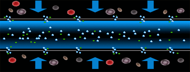 威尼斯注册送28